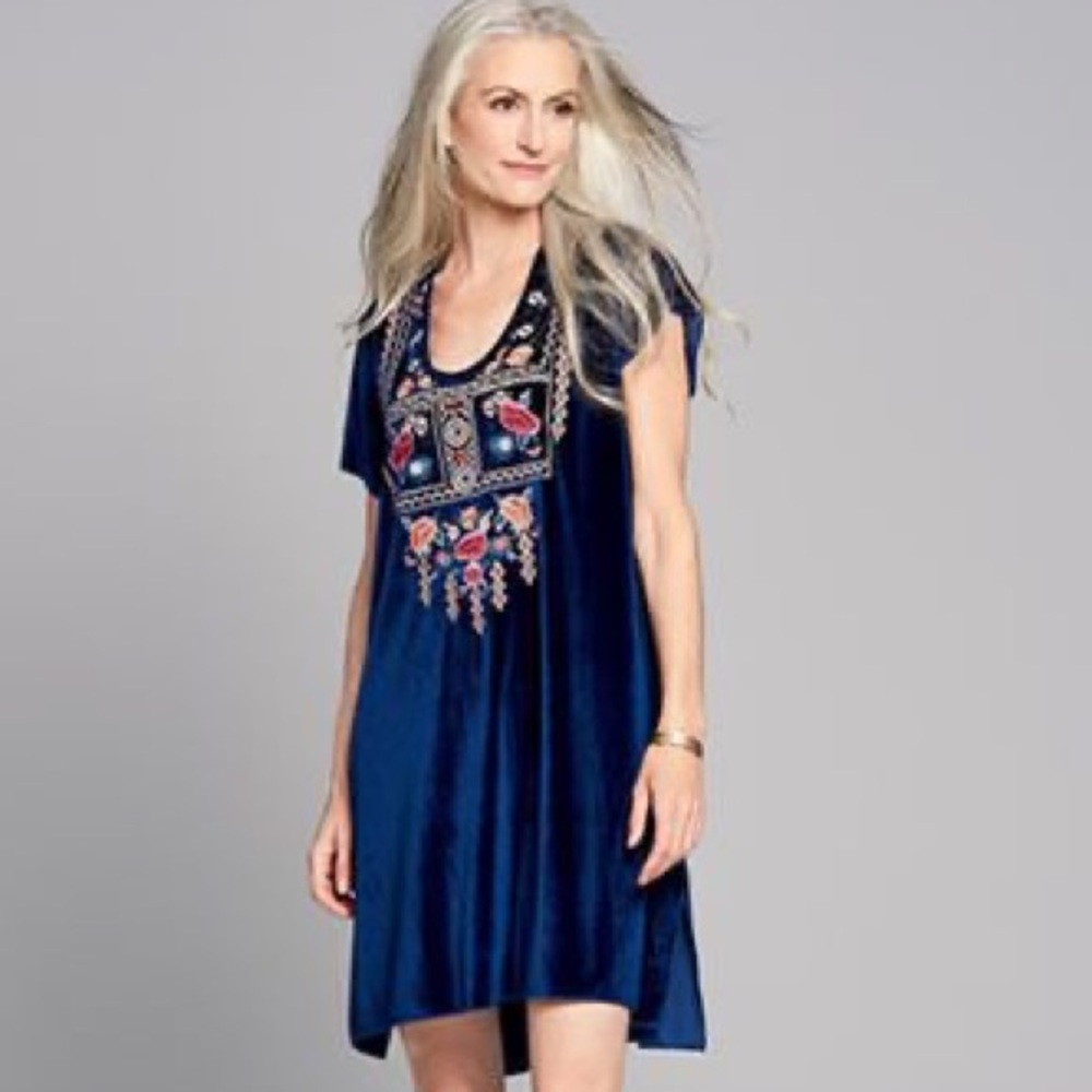 🆕 Chelsea & Theodore | Velvet Embroidered Dress